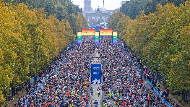 Das Starttor erleuchtet in Regenbogenfarben und die Masse der Läufer:innen geht auf die Strecke im Tiergarten.